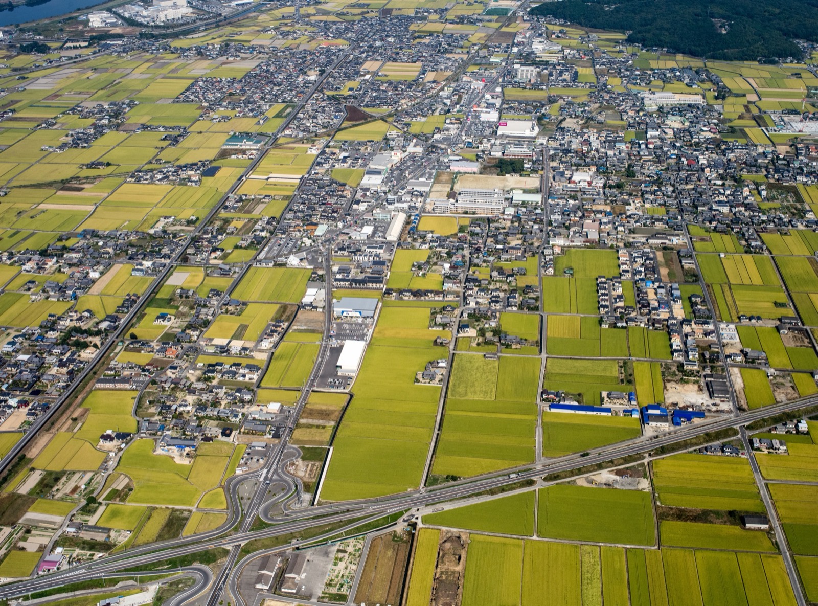 穏やかなまちの風景写真（千町平野、住宅街）