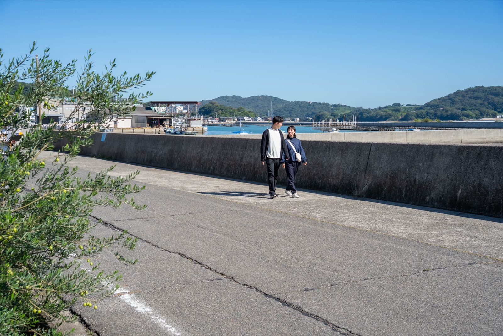 散歩する向井さんご夫婦